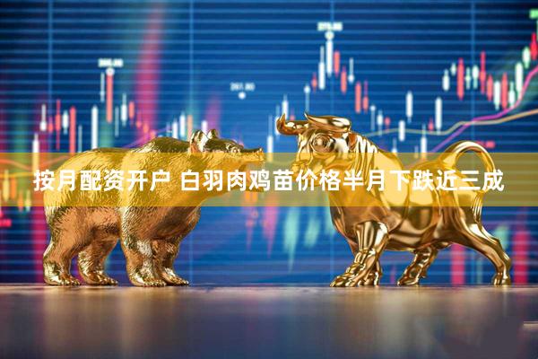 按月配资开户 白羽肉鸡苗价格半月下跌近三成