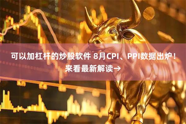 可以加杠杆的炒股软件 8月CPI、PPI数据出炉！来看最新解读→
